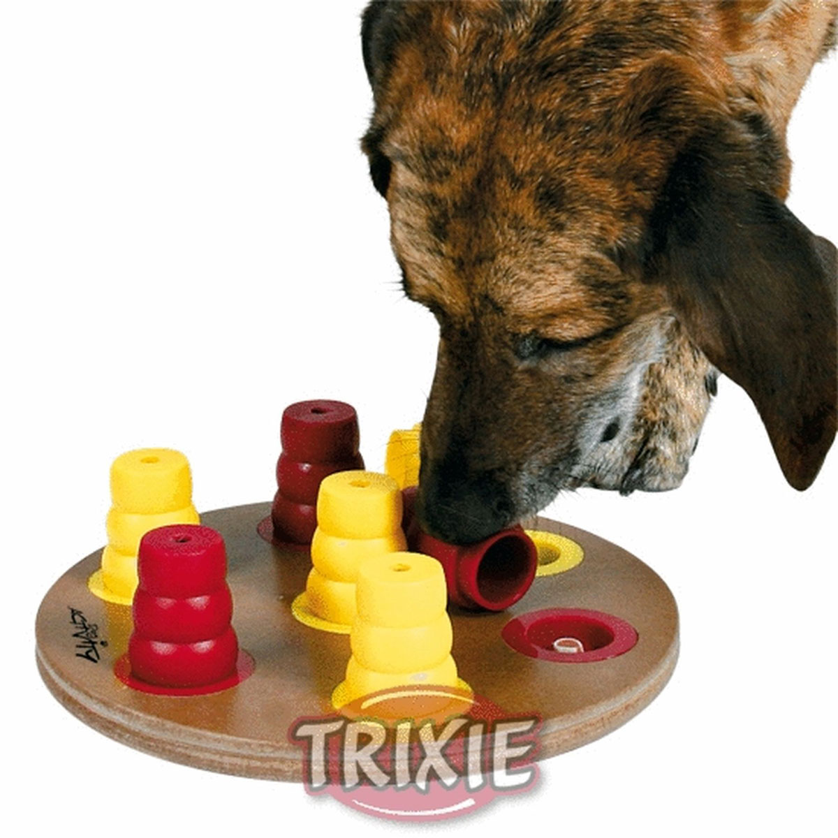 Trixie Dog Activity Move 2 Win, Hundespielzeug