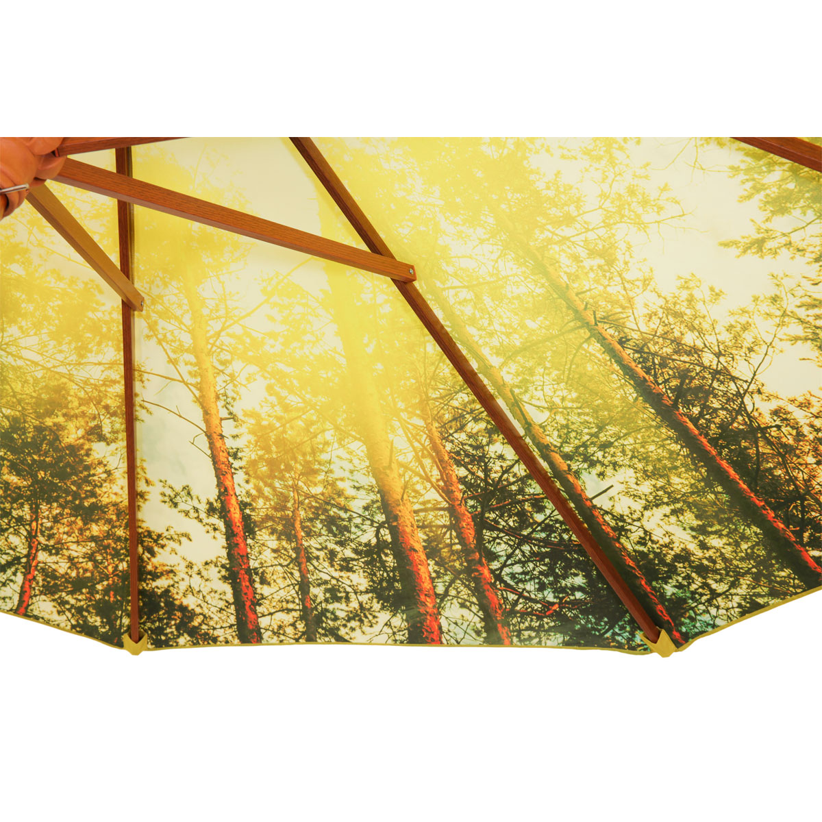 Durchmesser | Forest sonstige Malaga Sonnenschirm | 300 526254 cm Schirme Schneider